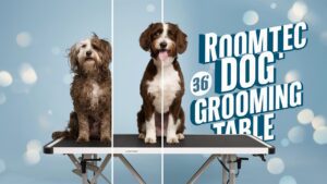 Buyer’s Guide: ROOMTEC 36-Inch Dog Grooming Table