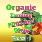 Organic Farming: Key Pros and Cons Explained