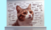 Cat Meme Guide: Unlocking Feline Internet Fame