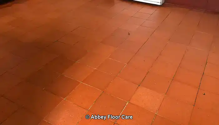 Why Quarry Tiles Deserve Specialist Care