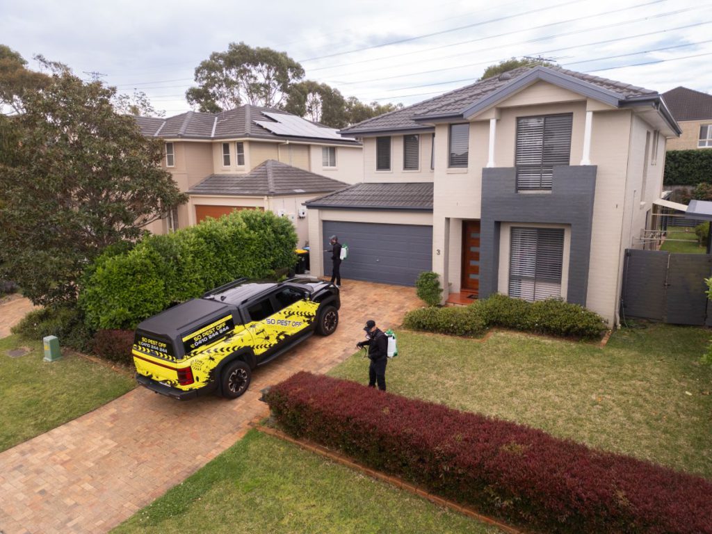 Effective Pest Control Solutions for a Bug-Free Home