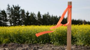 Subdivision Surveys: Essential Guide for Clyde North Development